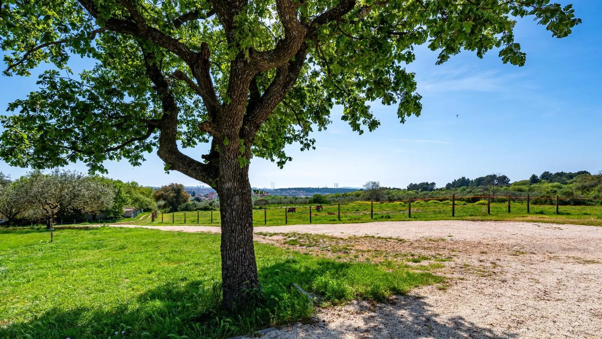 Villa Vista - New Entry 2025